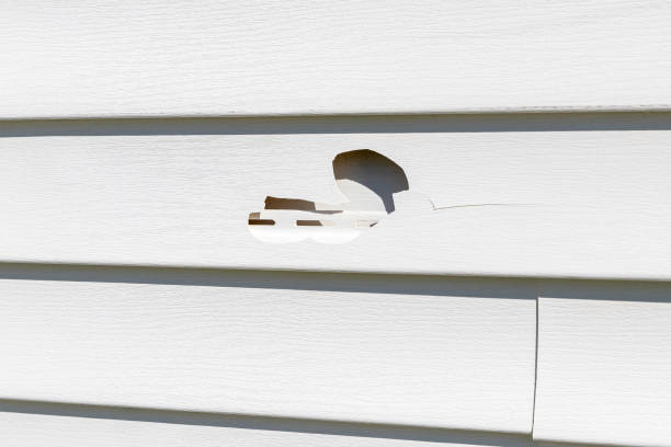 Best Storm Damage Siding Repair  in Bicknell, IN